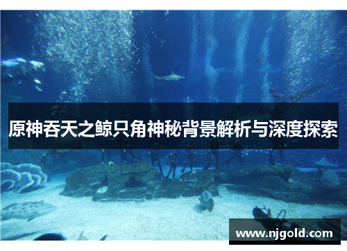 原神吞天之鲸只角神秘背景解析与深度探索