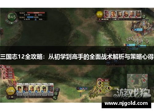 三国志12全攻略：从初学到高手的全面战术解析与策略心得